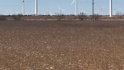 There are a whole bunch of windmills out here on the way to Lubbock!