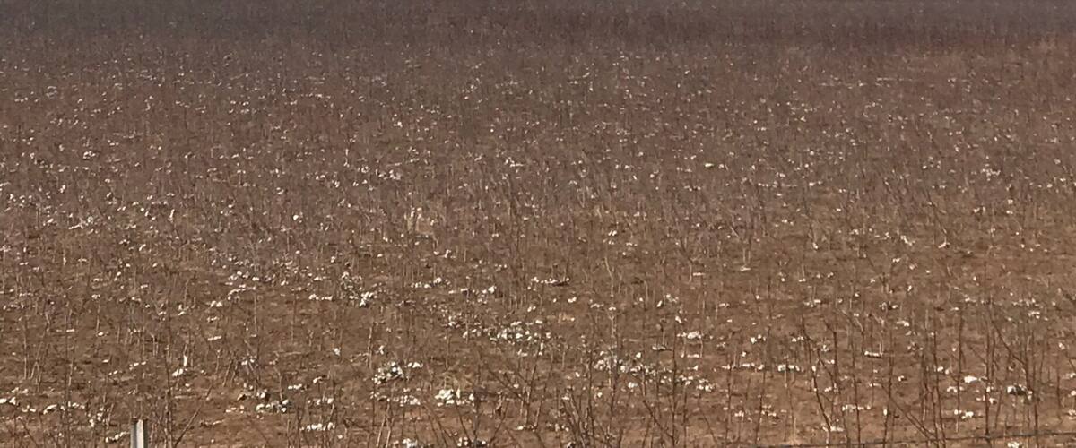 A wind farm with multiple wind turbines in a field.