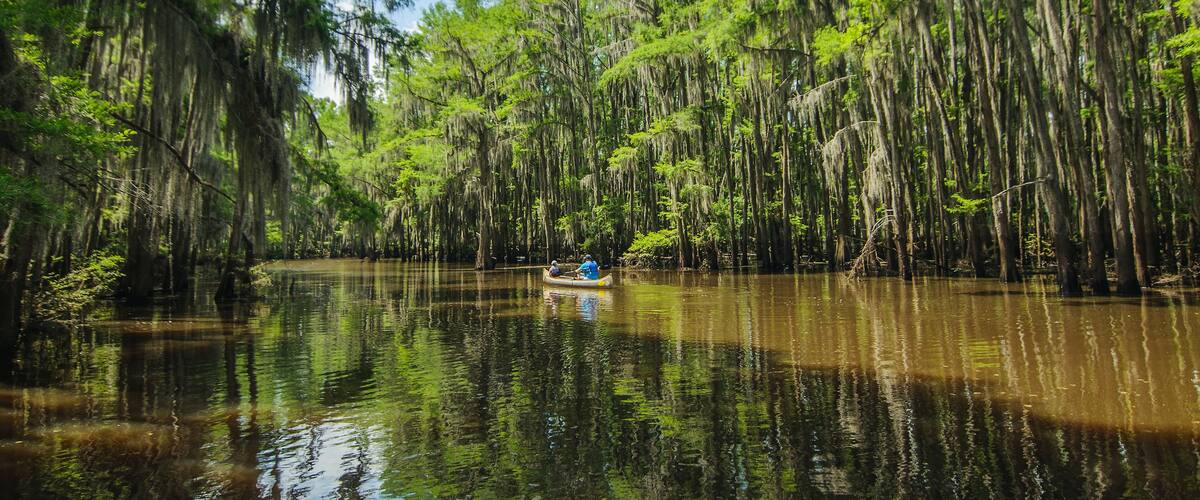 Horizontal picture of a parent with a kid rowing in a canoe on a lake with cypress trees in a water. Caddo Lake state park, Texas.