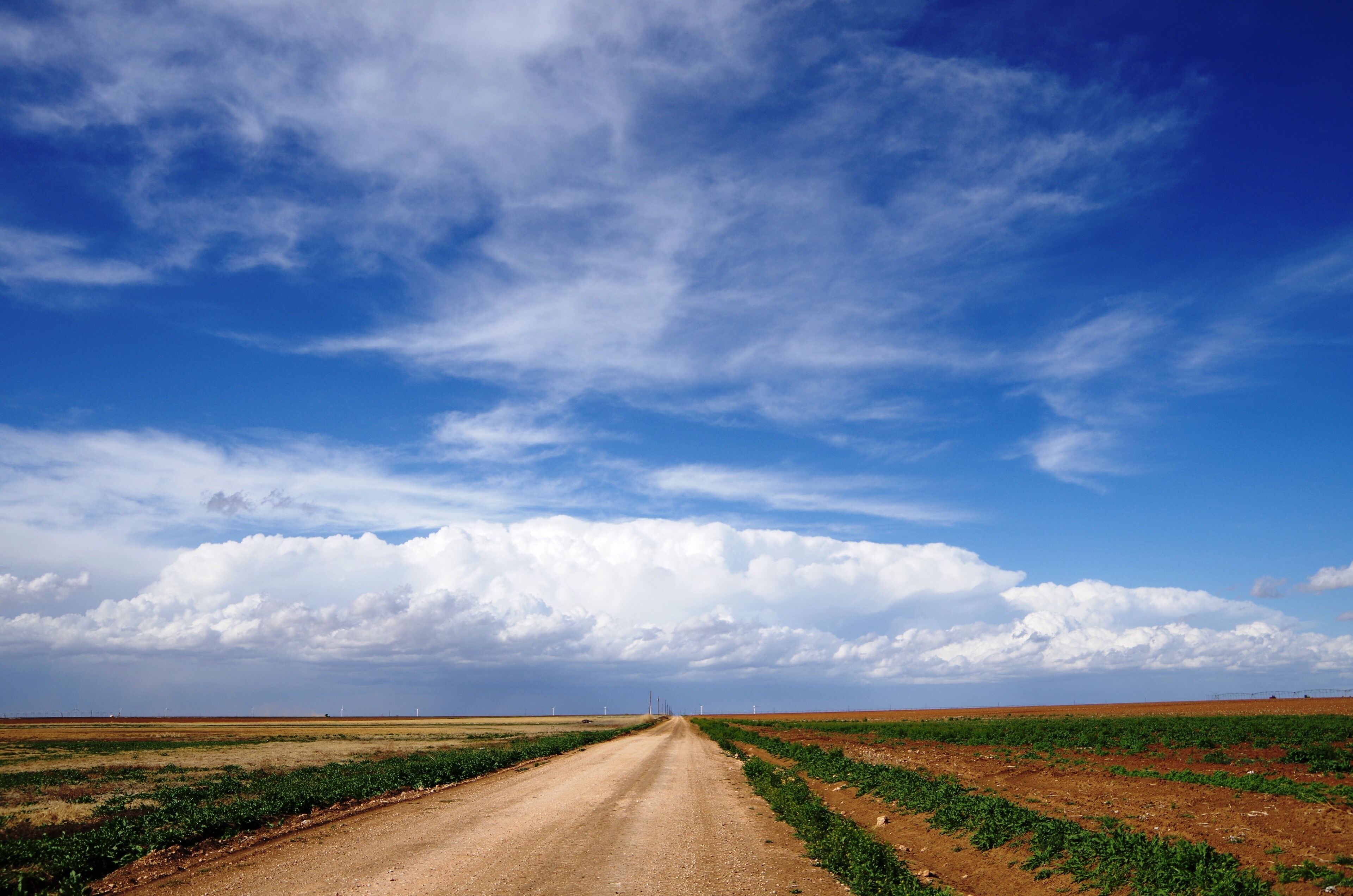A dirt road leading through a field with green crops under a blue sky with clouds.