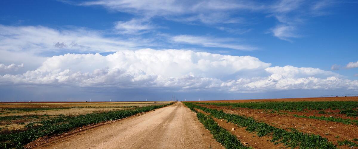 A dirt road leading through a field with green crops under a blue sky with clouds.