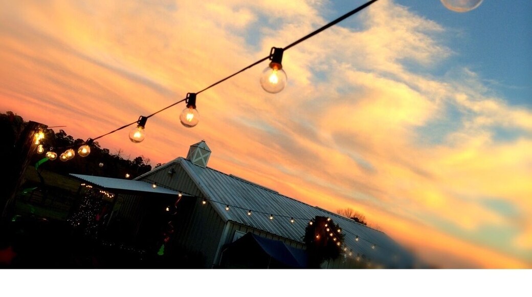 The Cowboy Campout is a working ranch for training horses and a innovative "barn and breakfast" hotel on the edge of the Sam Houston National Forest. A peaceful setting for a memorable getaway.
#LocalGem #GoldenHour