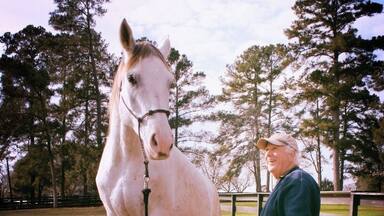 Don Hutson, horse trainer, educator and and all-around cowboy and his student Rhapsody pose for the camera. Don and his horses teach educators and business professionals how to communicate better and how to be more effective.
We often "camp out" at this cool little country B&B during the Christmas holidays with friends.
Cowboy Campout is a 15-acre working horse ranch just north of Historic Montgomery, Texas near the Sam Houston National Forest. The bunkhouse accommodates 12 guests in semi-private rooms. Two private bathrooms and lounge are located inside.
#LocalGems