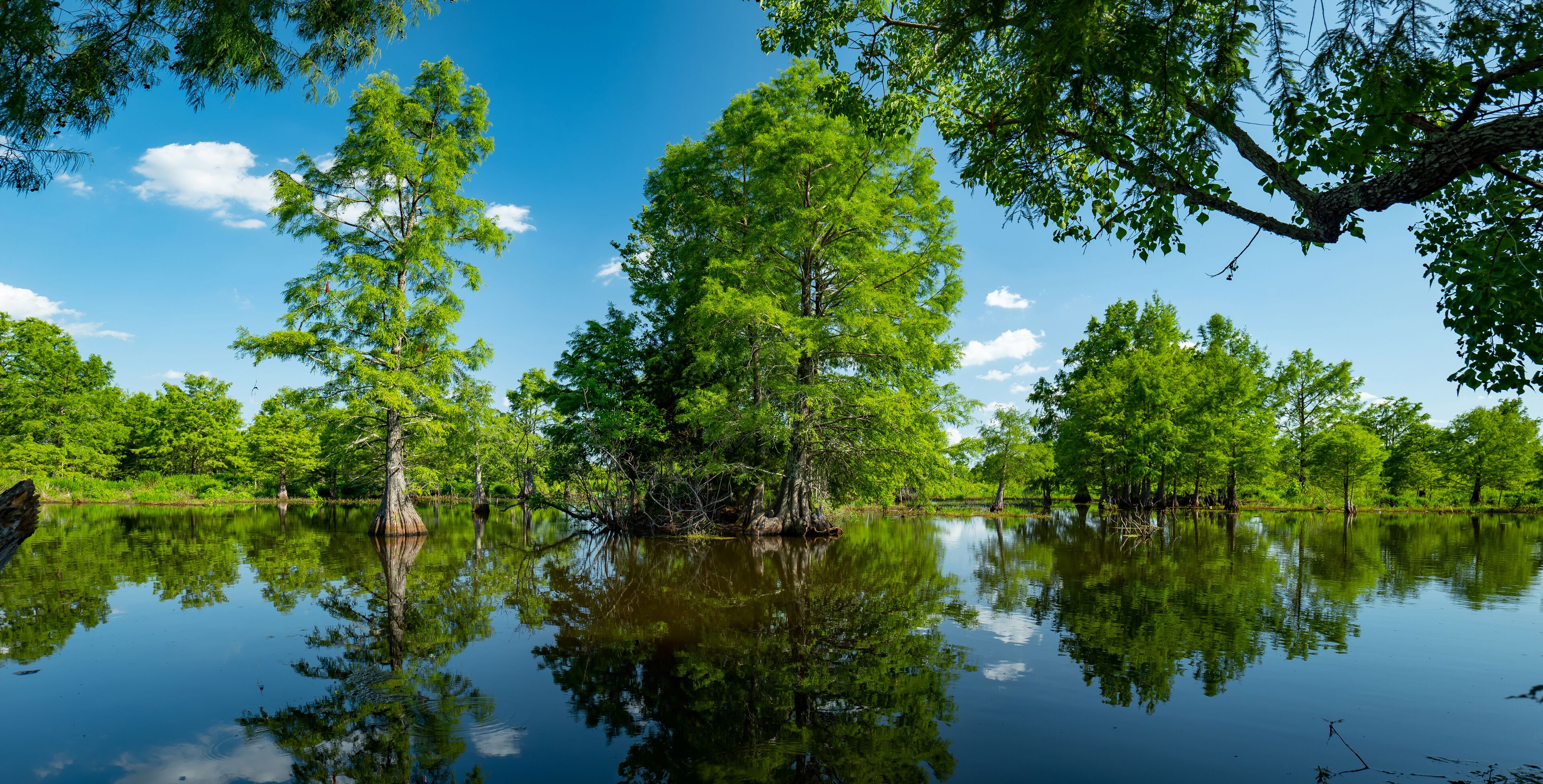 Sheldon Lake reservoir, Houston, Texas