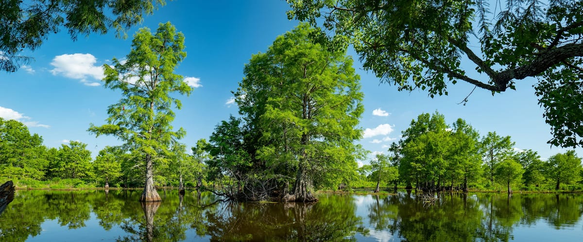 Sheldon Lake reservoir, Houston, Texas