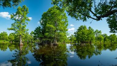 Sheldon Lake reservoir, Houston, Texas