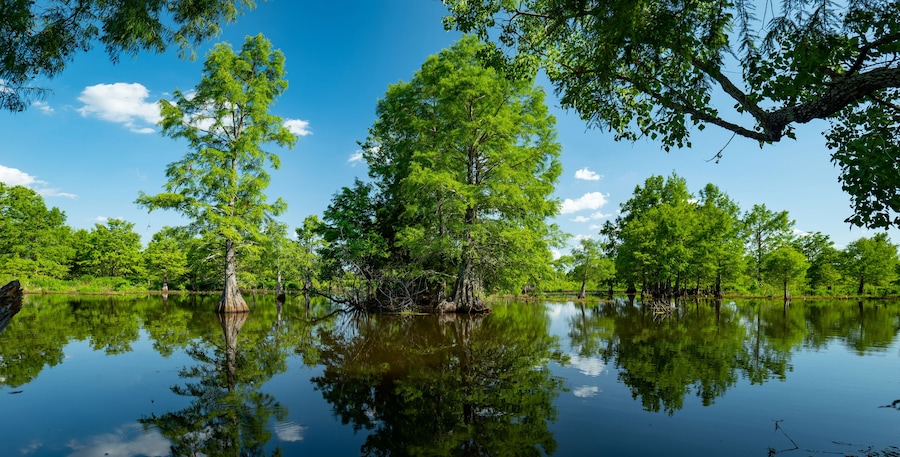 Sheldon Lake reservoir, Houston, Texas