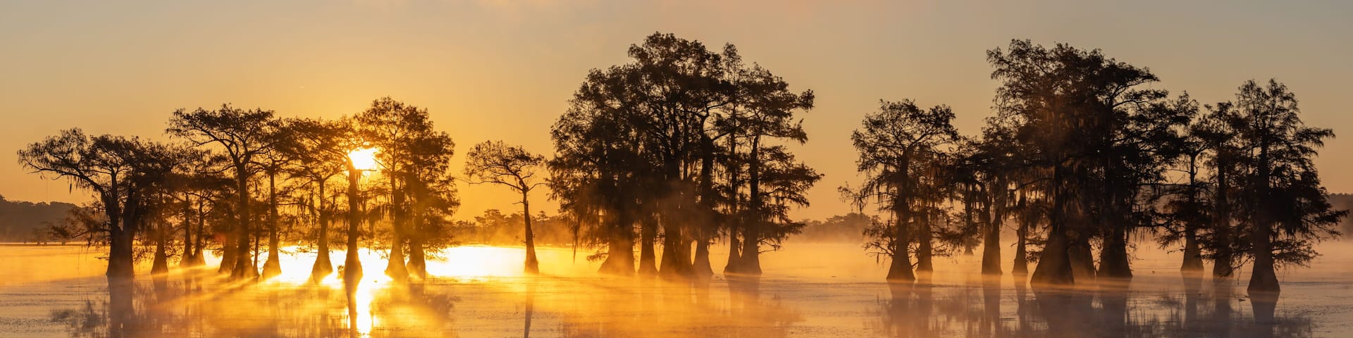 Sunrise at Swamp at Caddo Lake Texas