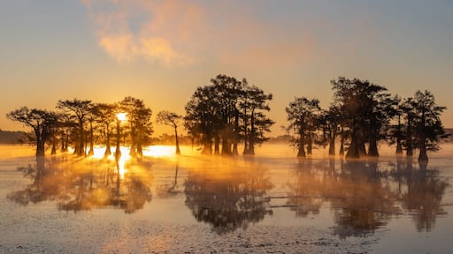 Sunrise at Swamp at Caddo Lake Texas