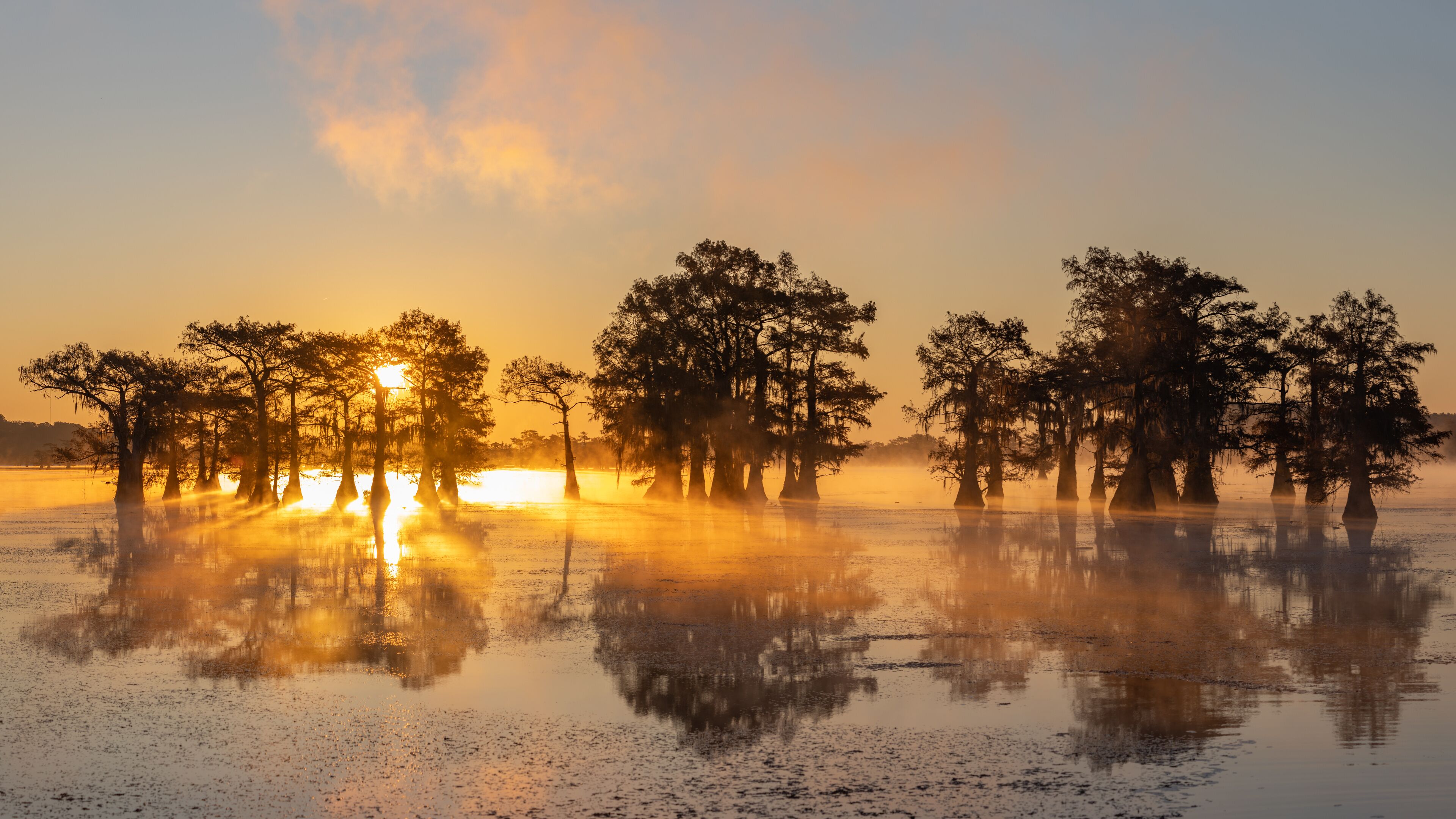 A sunrise over a swamp with trees reflected in the water.
