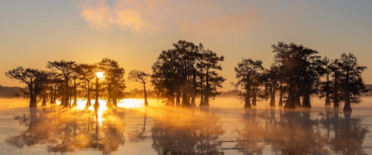 A sunrise over a swamp with trees reflected in the water.
