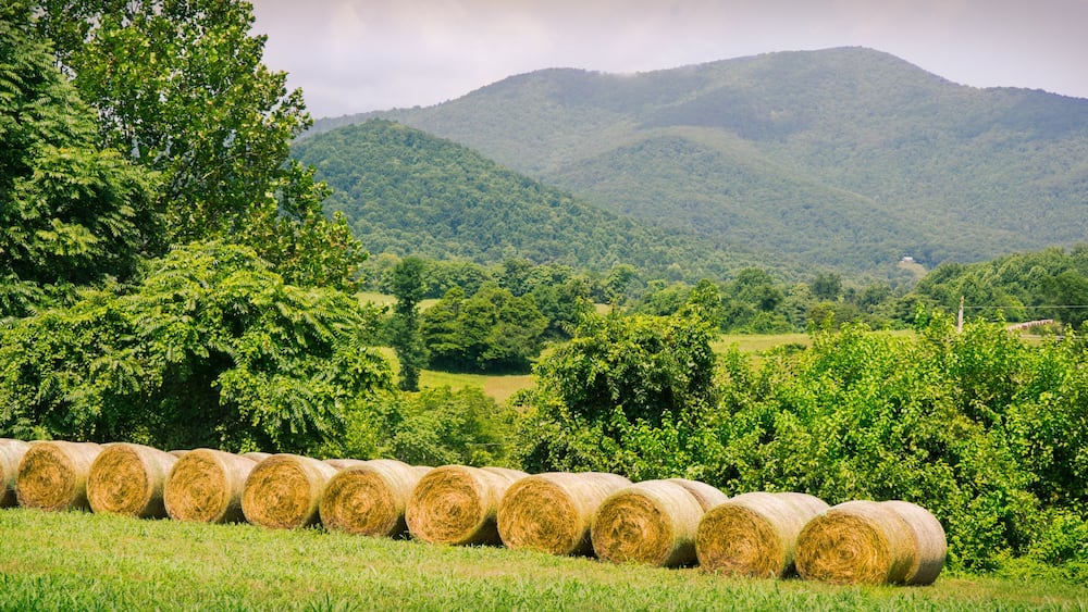 Hay bales in field with blue ridge mountains in the background in Amissville, Virginia.