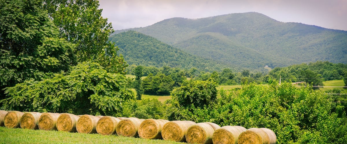 Hay bales in field with blue ridge mountains in the background in Amissville, Virginia.