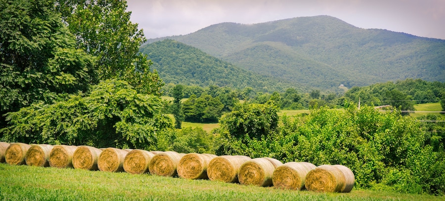 Hay bales in field with blue ridge mountains in the background in Amissville, Virginia.