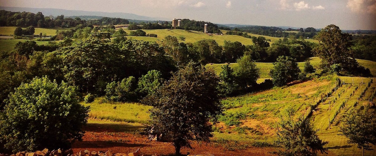 This winery is up on a hill and has the most amazing view at the top! It just opened a few months ago so I think it needs more time to get situated. Wines aren't bad (a little pricey). Definitely worth going to at least once for the view on a sunny day! #bluevalleyvineyard #winery #blueridgemountains #virginia #drinkvirginiawine