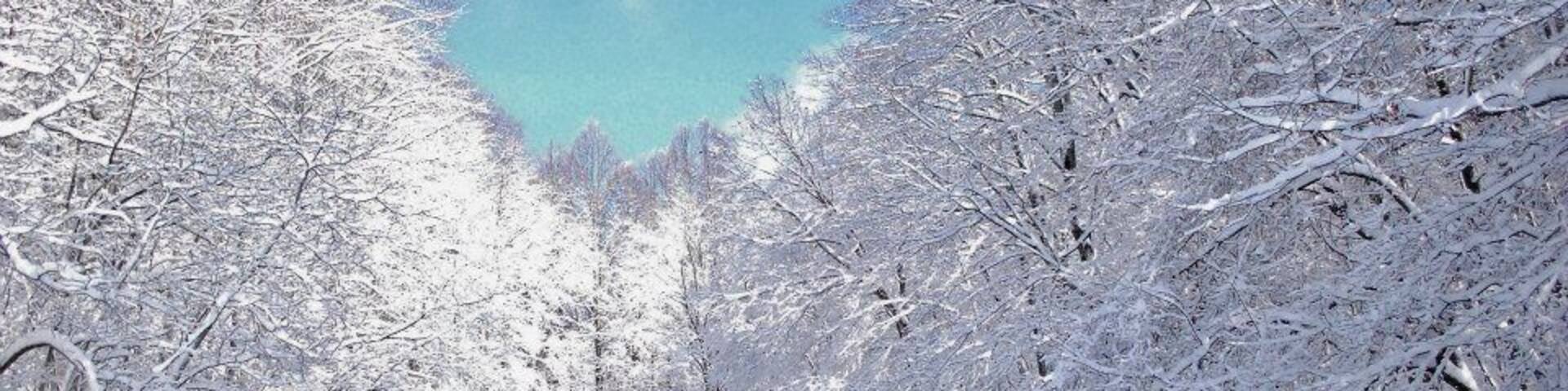 Turkey Ridge Road in Fort Blackmore, Virginia. I hit the backroads after a big snow to take advantage of all the beauty. This shot is one of my favorites from that day. #roadtrip #scottcountyvirginia #winter #snow