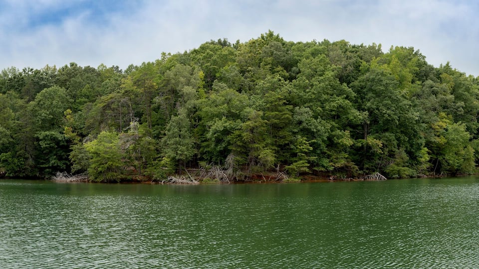 A forested island surrounded by calm water.