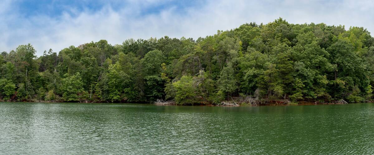 A forested island surrounded by calm water.