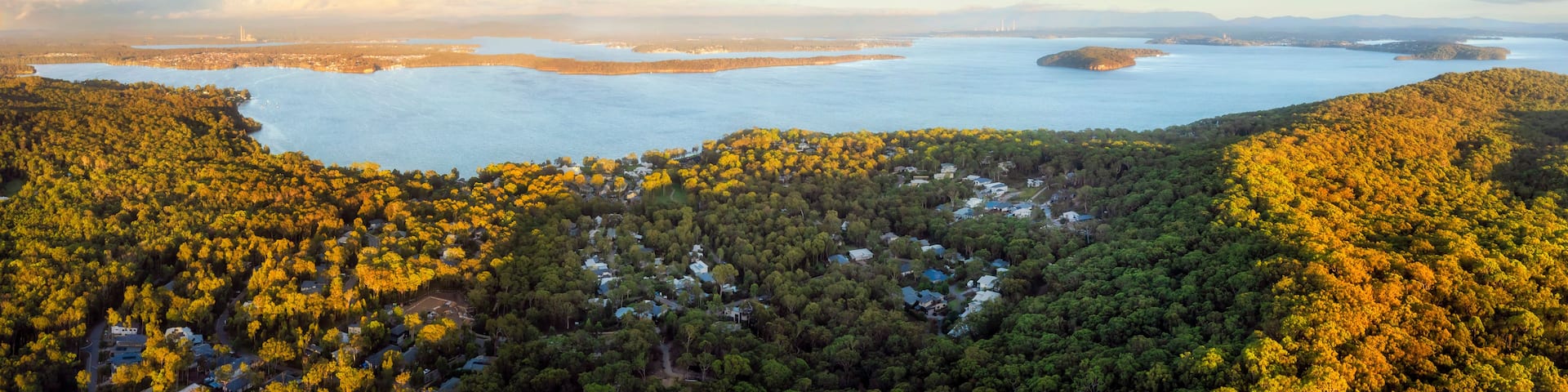 A coastal landscape with dense forested hills, a large body of water, and a distant city skyline.
