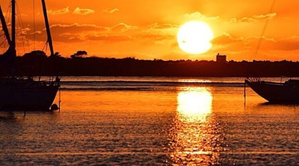What better place to watch the sunrise. Hastings River half way between Sydney and Brisbane on the eastern side of Australia #weekendgetaway