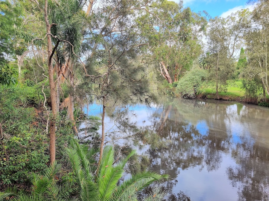 A calm river surrounded by dense greenery and trees.