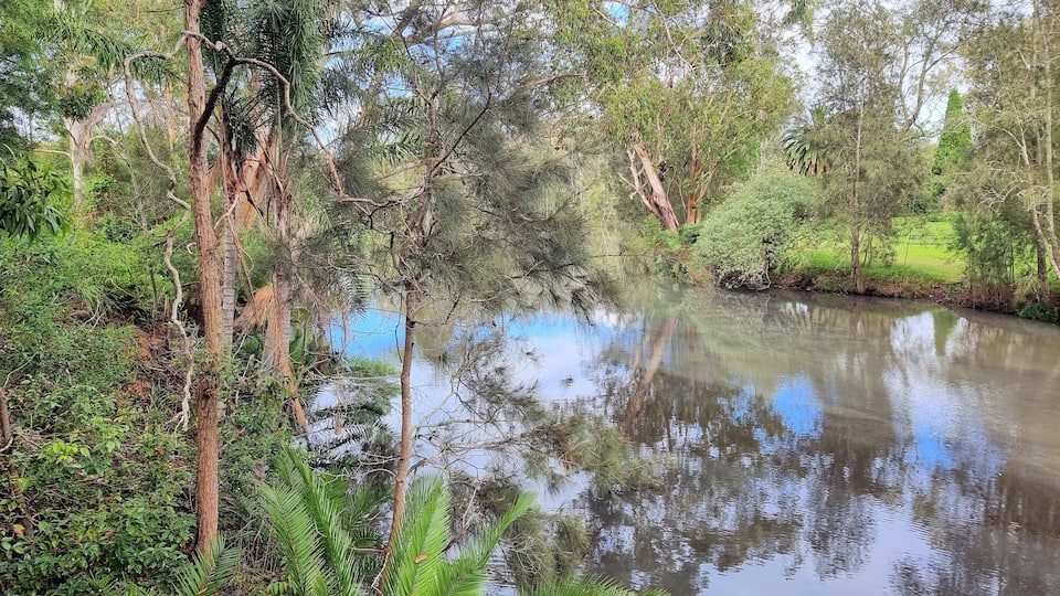A calm river surrounded by dense greenery and trees.