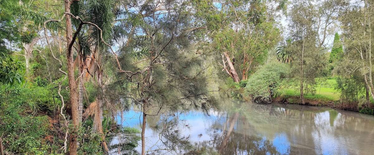 A calm river surrounded by dense greenery and trees.
