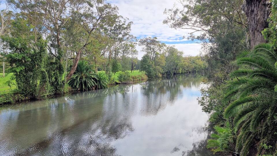 A calm river flanked by lush greenery and trees.