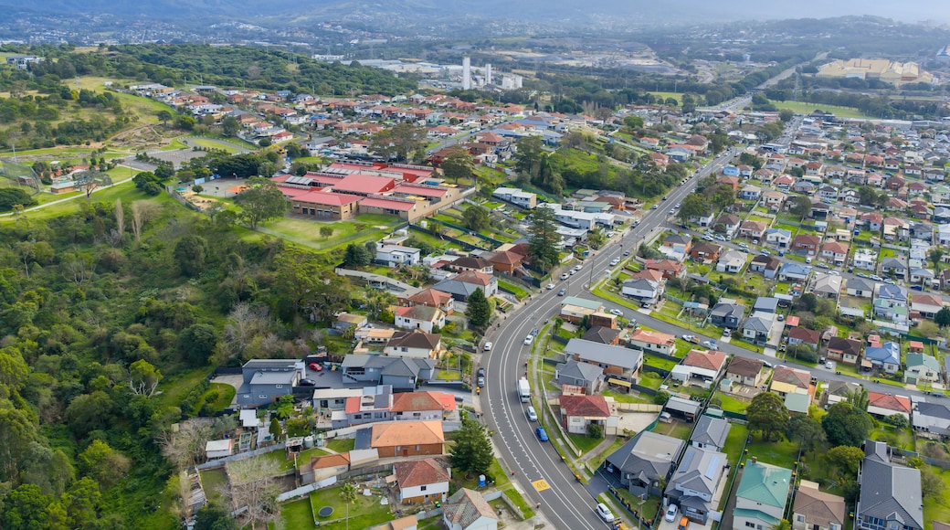 Drone aerial photograph of the Cringila Public School and surrounding residential houses in the greater Wollongong region of the Illawarra district on the south coast of New South Wales, Australia.