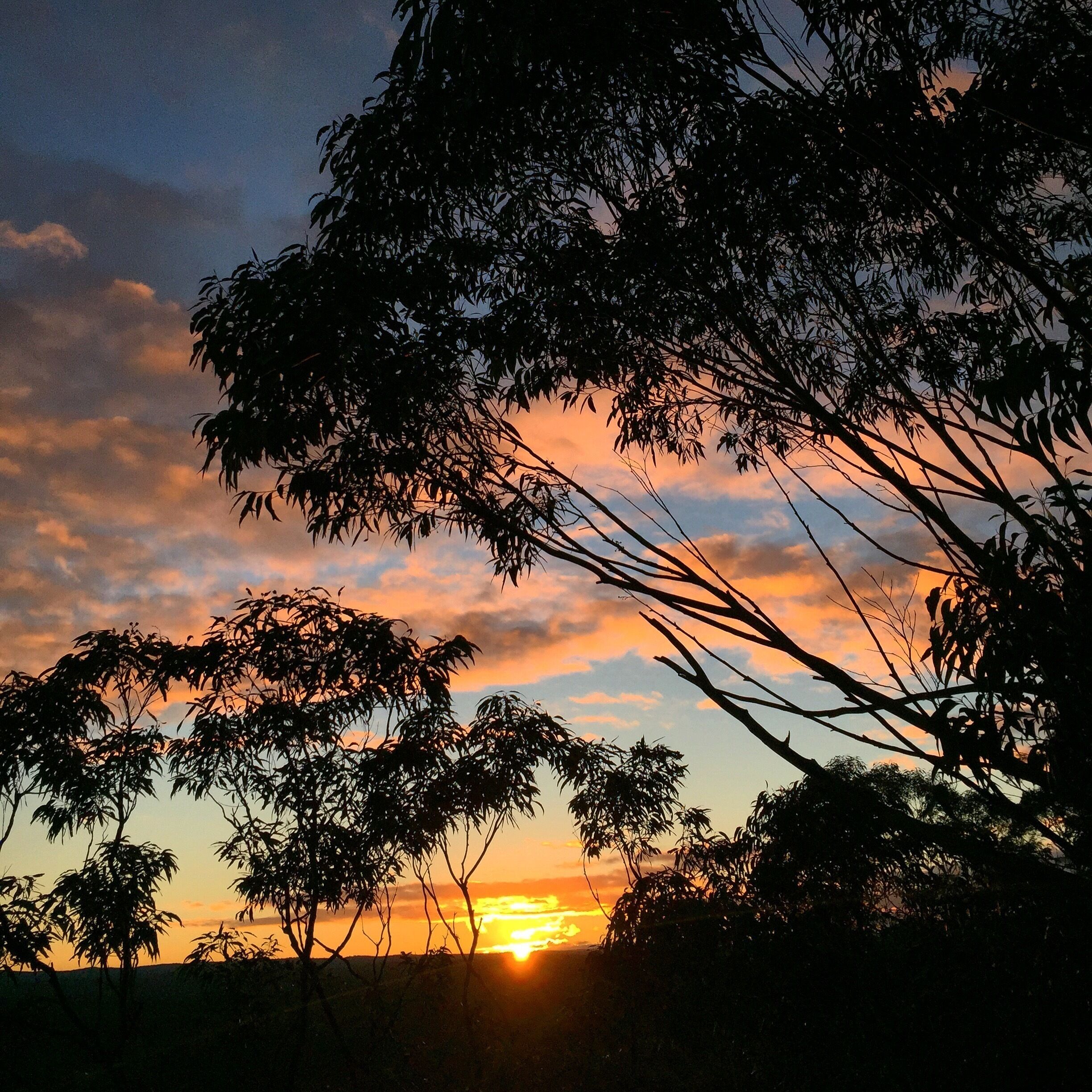 Sun setting one of my favourite times of the day ! 