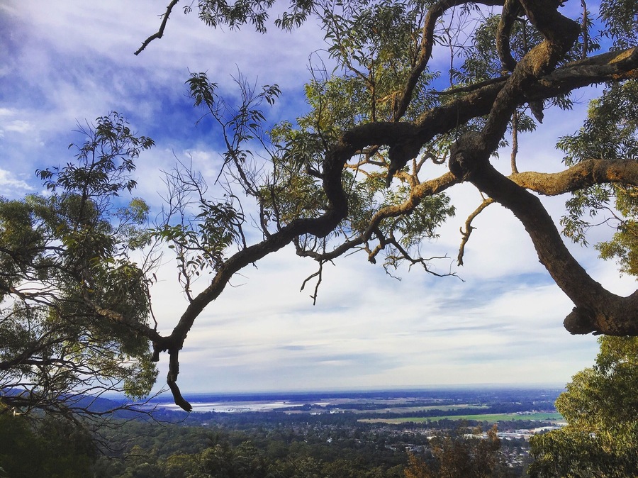 Foot of the Blue Mountains, Sydney 👌🏼