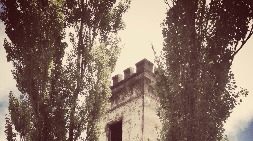 Old Tower in Lawson, Blue Mountains NSW, Australia.
#Abandoned