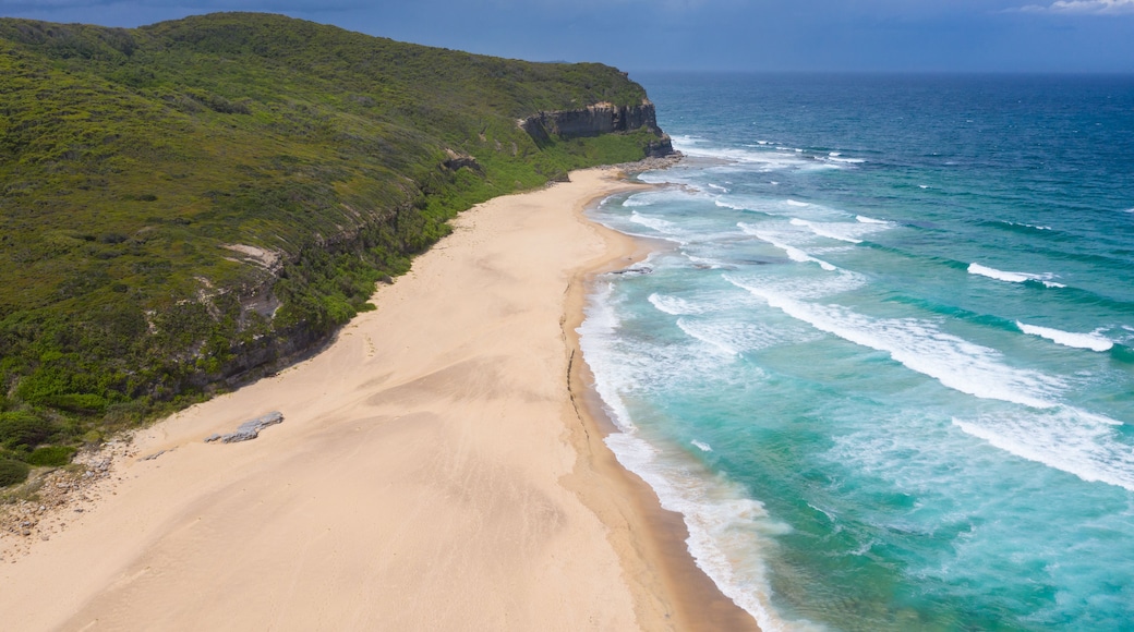 Eine Küstenlandschaft mit einem Sandstrand, grüner Vegetation und einer Klippe mit Blick auf den Ozean.