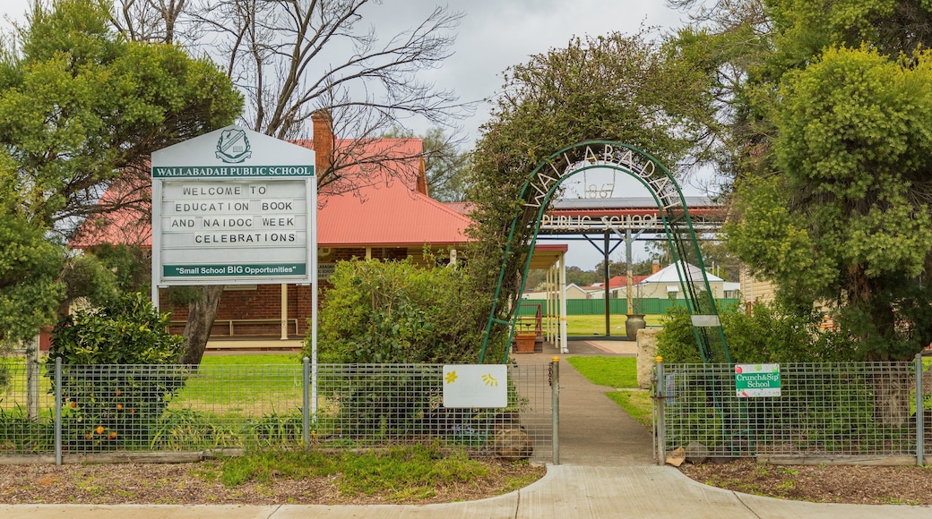 Wallabadah showing signage and a small town or village
