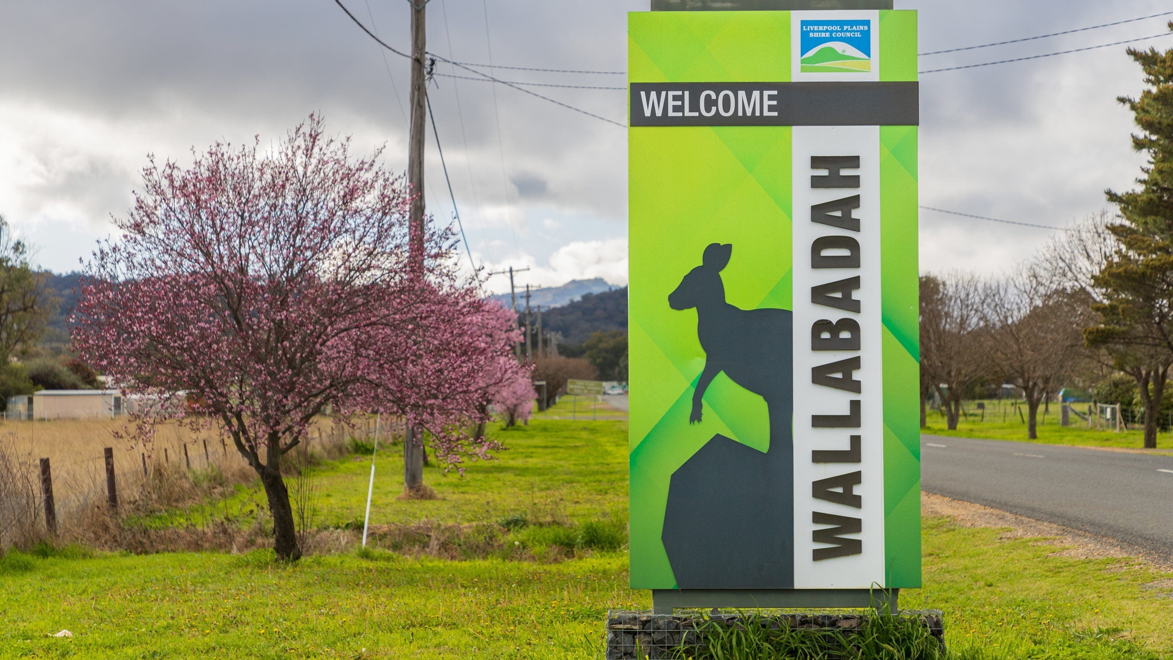 Wallabadah featuring tranquil scenes and signage