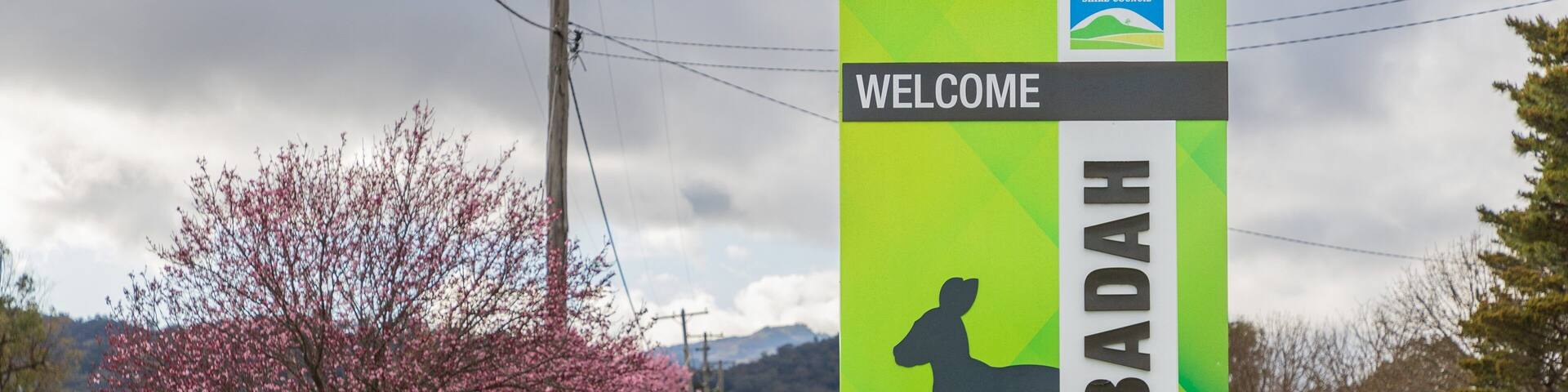 Wallabadah featuring tranquil scenes and signage