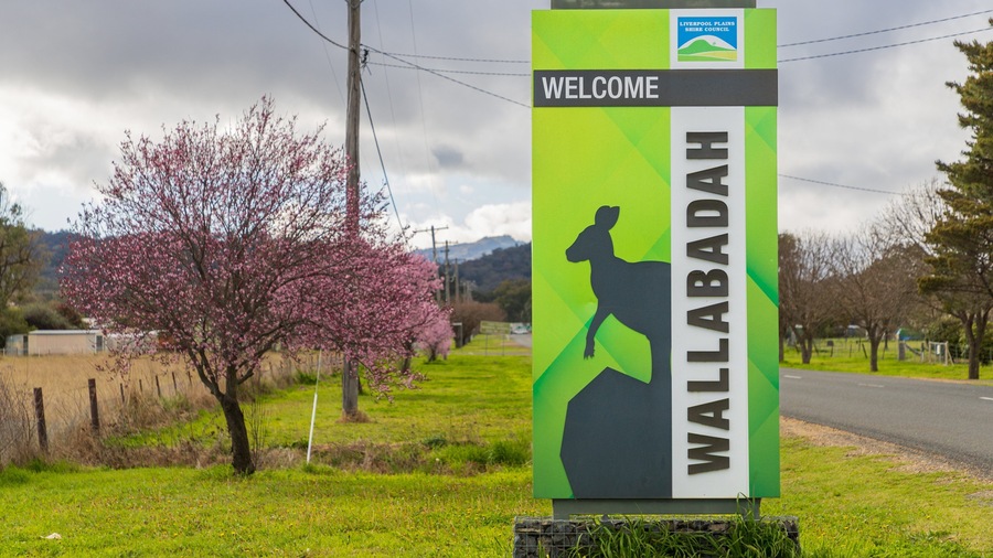 Wallabadah featuring tranquil scenes and signage