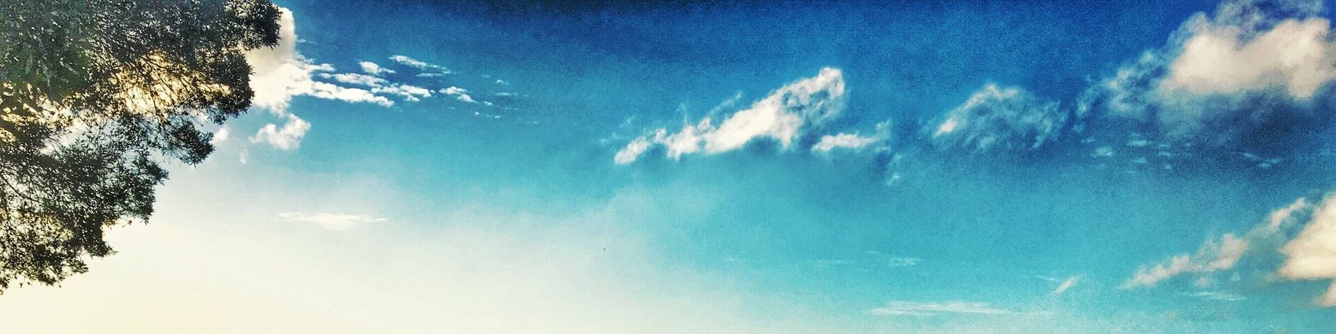 Sweet spot on a track off the road to the Cathedral Fig Tree in the Tablelands FNQ, Australia. Lush, #green, quiet, a slice of heaven. #Green #australia #queensland