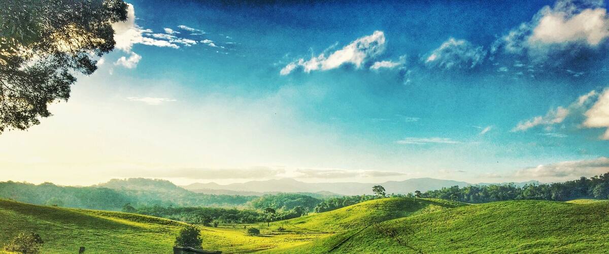 Rolling green hills, a dirt path, and a distant tree line under a clear sky.