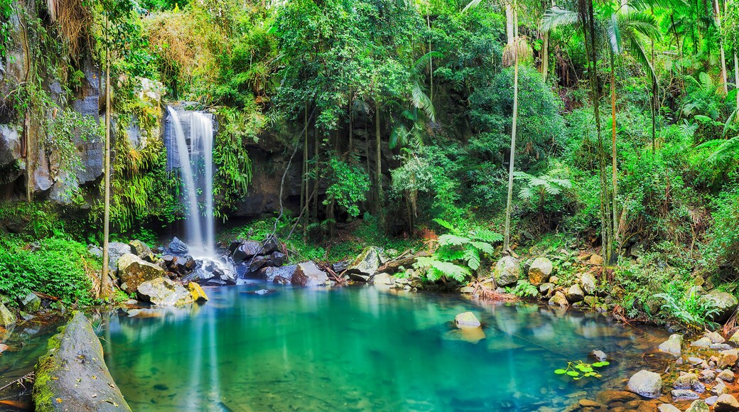 ๋จธ์ฆ๋๋