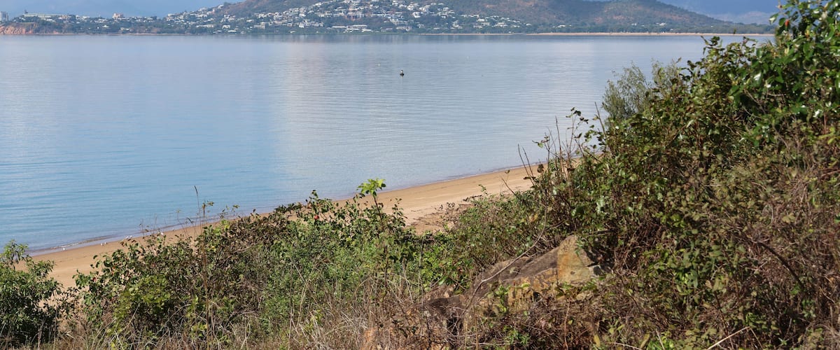 A coastal landscape with a sandy beach, dense greenery, and a mountain in the background.