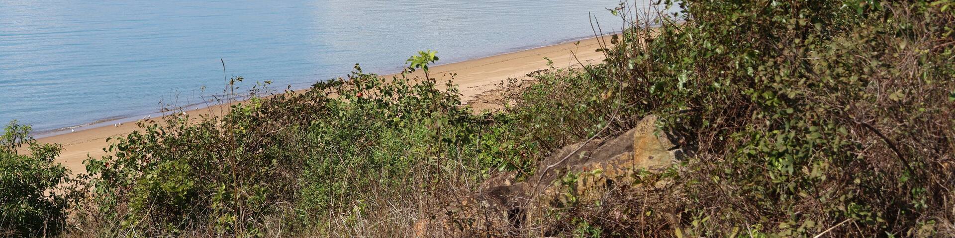 A coastal landscape with a sandy beach, dense greenery, and a mountain in the background.
