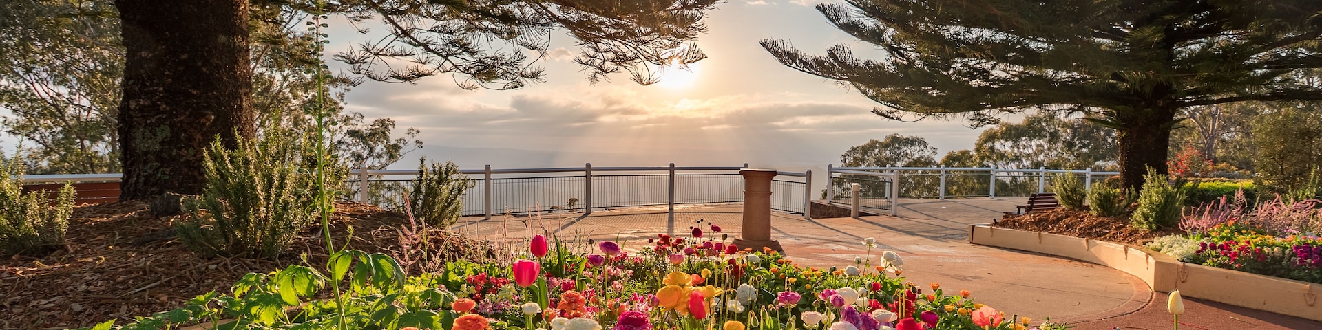 A park with a variety of colorful flowers, trees, and a bench.