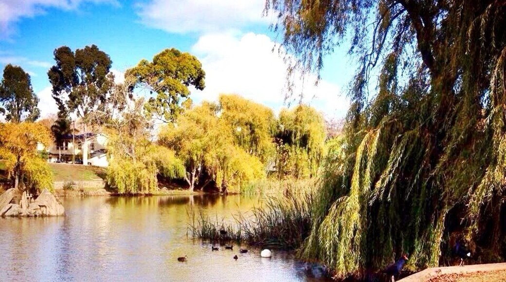 Duck pond in Happy Valley, South Australia