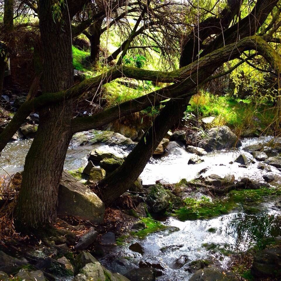 Stream in Happy Valley, South Australia