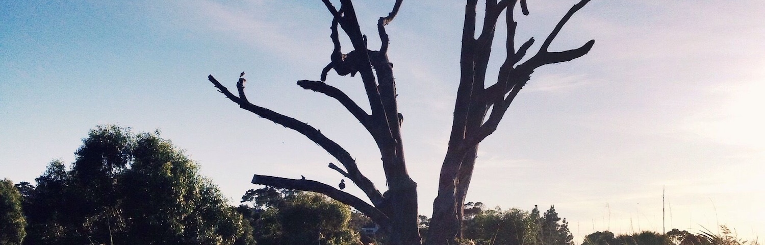 Morphett Vale, South Australia. March 16 2016