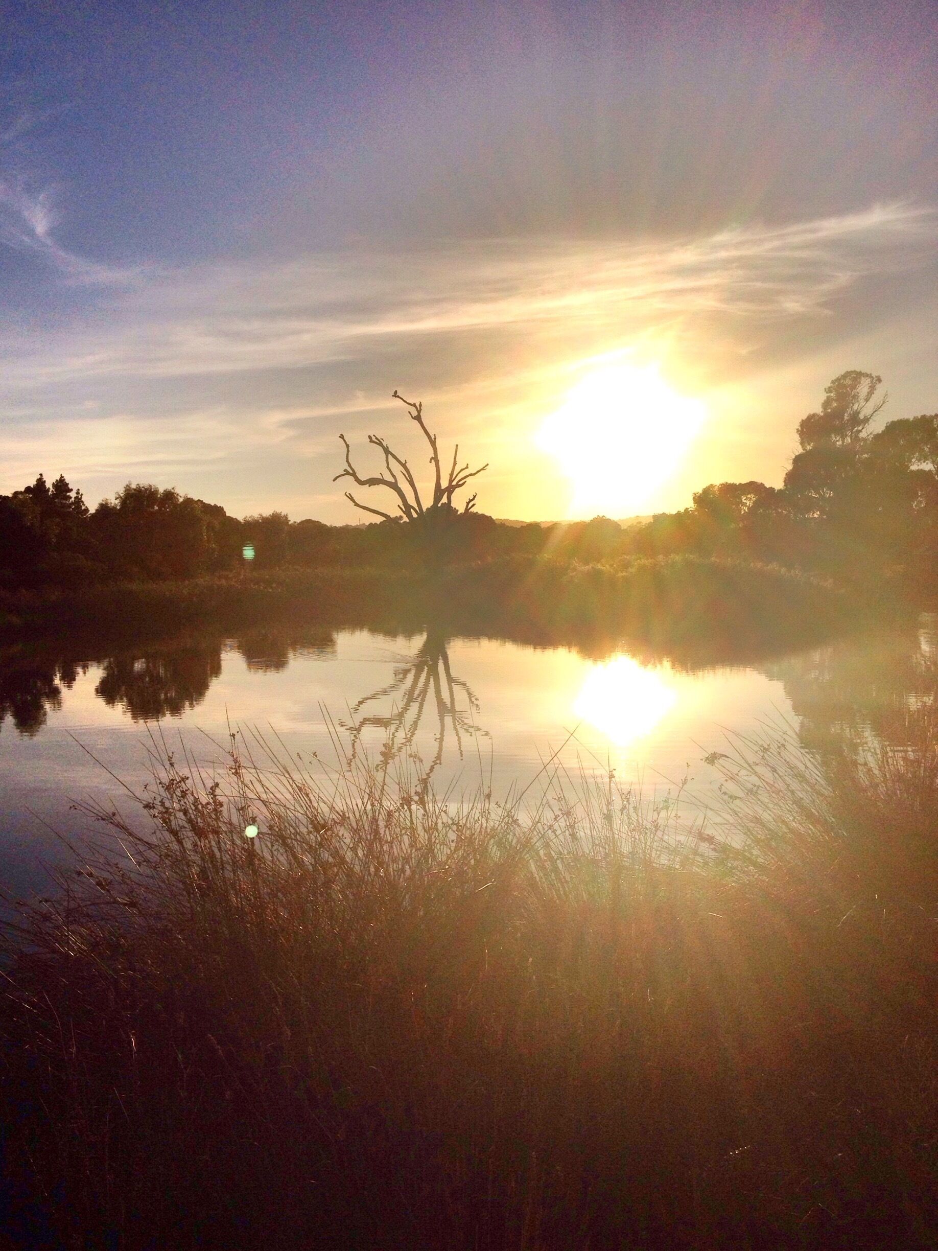 Sunrise over the duck pond at Morphett Vale, South Australia