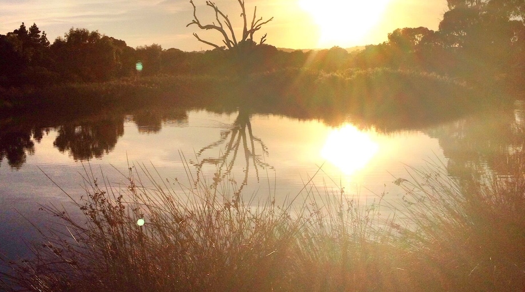 Sunrise over the duck pond at Morphett Vale, South Australia