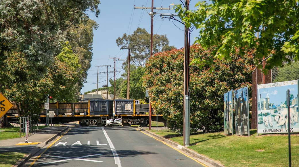 Nairne showing railway items