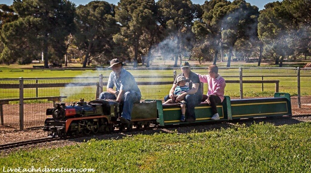 who doesn't love time outdoors, riding a steam train, lol